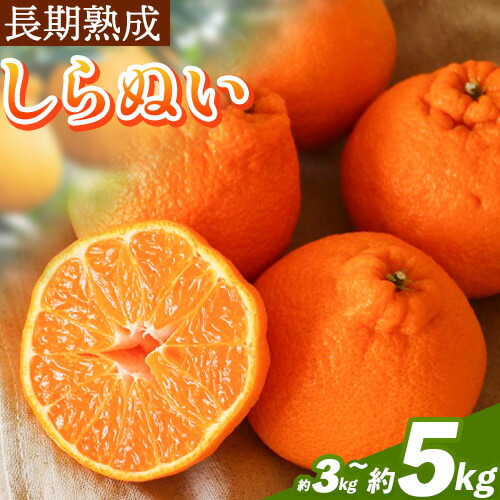 長期熟成 しらぬい 約3kg (9-18個) 約5kg (18-28個) まるまつ農園《5月上旬-6月上旬頃出荷》和歌山県 日高川町 不知火 柑橘 しらぬい 熟成 長期熟成 果物 フルーツ 2701706 - 和歌山県日高川町