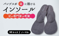 【選べる】パンプス用インソール（M/Normal） パンプス ヒール 靴 中敷き 土踏まず 外反母趾 偏平足 腰痛 膝痛 O脚 浮指 ウオノメ レディース 広島県三原市 135002
