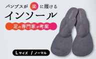 【選べる】パンプス用インソール（L/Normal） パンプス ヒール 靴 中敷き 土踏まず 外反母趾 偏平足 腰痛 膝痛 O脚 浮指 ウオノメ レディース 広島県三原市 135004