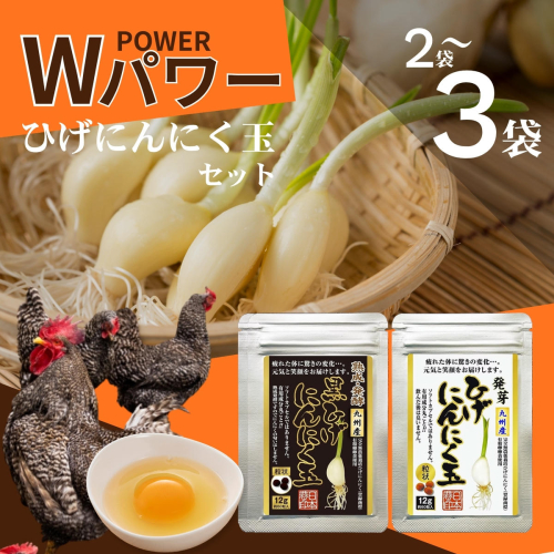 【ふるさと納税】【ポスト投函】ひげにんにくの伝統製法 選べるセット 2701754 - 佐賀県佐賀市