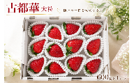 [2027年発送]いちご 古都華 ことか 先行予約 約600g×1ケース イチゴ 苺 大粒サイズ 超大粒 なくなり次第終了 フルーツ 果物 月 旬 産地 農場 直送 フレッシュ スイーツ スムージー 国産 ベリー strawberry berry 贈答用 贈り物 ギフト用 プレゼント 人気 ふるさと納税 ふるさと おすすめ 限定 奈良県 奈良市 なら ファーム和だや fwd008_R9