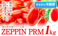 ミニトマト　A-183a ミニトマト フルーツ 感覚 高糖度 ZEPPIN PRM(プレミアム) 1kg 箱 《120日以内に出荷予定(土日祝除く)》