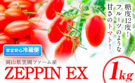 C-39a ZEPPIN EX(エクセレント)1kg　平均糖度12度　甘い　フルーツトマト《120日以内に出荷予定(土日祝除く)》