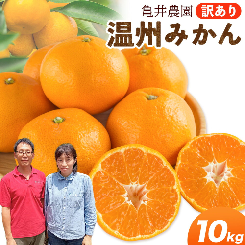 温州みかん 10kg 訳あり品 亀井農園 《11月上旬-1月中旬出荷予定(土日祝除く)》和歌山県 日高川町 柑橘類 柑橘 果物 フルーツ ミカン みかん 温州 2702132 - 和歌山県日高川町