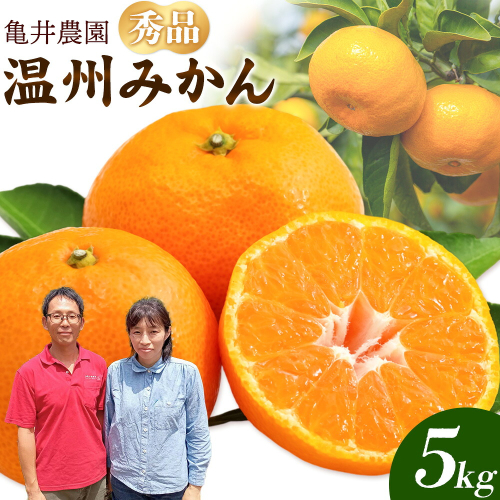 温州みかん 約5kg 秀品 亀井農園 《11月上旬-1月中旬出荷予定(土日祝除く)》和歌山県 日高川町 柑橘類 柑橘 果物 フルーツ ミカン みかん 温州 2702133 - 和歌山県日高川町