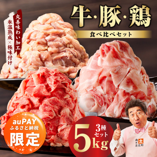 【auPAYふるさと納税限定】国産 牛肉＆豚肉＆鶏肉セット 5kg【スピード発送 氷温熟成×極味付け 3種 食べ比べ 普段使い 味付き 小分け 訳あり サイズ不揃い 】 mrz0368a 2702141 - 大阪府泉佐野市