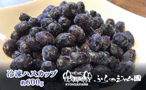 ◆ふらのジャム園◆ 冷凍 ハスカップ 2袋セット ( 果物 フルーツ 冷凍食品 新鮮 産地直送 北海道 道産 富良野 ) 2702157 - 北海道富良野市