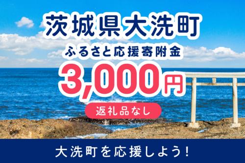 【返礼品なしのご寄附】 茨城県大洗町 1口 3,000円 茨城県 大洗町 応援寄附金 寄附のみ 2702213 - 茨城県大洗町