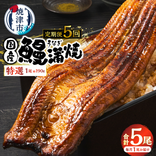 a60-043　【定期便 5回】特選 国産うなぎ蒲焼定期便 約190g×5回 2702231 - 静岡県焼津市