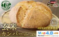 [定期便2ヶ月][コシヒカリ玄米使用]生米仕込みで噛むほどに広がる旨み 京都産コシヒカリ 玄米カンパーニュ 1セット カンパーニュ パン 米粉パン グルテンフリー 玄米パン 冷凍パン 国産米 小麦不使用 アレルギー対応 京都府 京田辺市