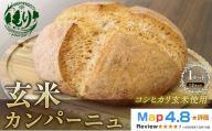 [コシヒカリ玄米使用]生米仕込みで噛むほどに広がる旨み 京都産コシヒカリ 玄米カンパーニュ(12カット) 1セット カンパーニュ パン 米粉パン グルテンフリー 玄米パン 冷凍パン 国産米 小麦不使用 アレルギー対応 京都府 京田辺市