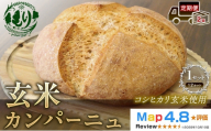 [定期便2ヶ月][コシヒカリ玄米使用]生米仕込みで噛むほどに広がる旨み 京都産コシヒカリ 玄米カンパーニュ(12カット) 1セット カンパーニュ パン 米粉パン グルテンフリー 玄米パン 国産米 小麦不使用 アレルギー対応 京都府 京田辺市