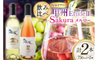 酒 ワイン エチュード ll ＆ ロゼ サクラ メルロー 750ml 2本 セット [city farm  山梨県 韮崎市 20745521] アルコール あるこーる お酒 さけ 白ワイン ロゼワイン 白 ロゼ わいん 甲州 甲州ワイン 日本ワイン 女子会 家飲み 記念日 贈答 ギフト プレゼント ふるさと納税