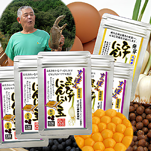 【ふるさと納税】【ポスト投函】すっぽん卵入黒ひげにんにく卵黄 選べるセット 2702447 - 佐賀県佐賀市
