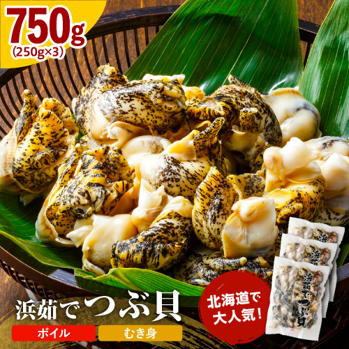 浜茹でつぶ貝 750g【er001-132】 2702451 - 北海道えりも町