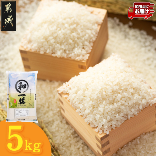 都城産と国産のブレンド米 5kg≪みやこんじょ特急便≫_AAE-15-014-5kg-Q 2702463 - 宮崎県都城市