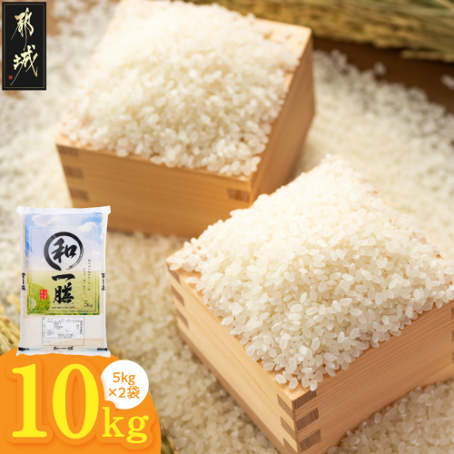 都城産と国産のブレンド米 10kg_19-15-014-10kg 2702543 - 宮崎県都城市