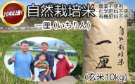 DB-7.【幸せへの想いを込めた 自然栽培米】一厘（いちりん）　玄米　10kg