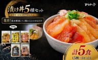 特製出汁醤油で漬け込んだ漬け丼5種セット5食(各90g)|海鮮丼 まぐろ ひらめ 鯛 サーモン 海鮮 魚介 おかず 丼 まるは 鮪 マグロ