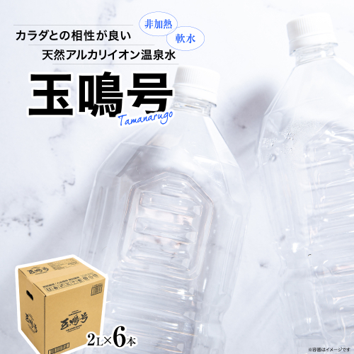 天然アルカリイオン温泉水『玉鳴号』2l×6本セット｜bi-tng-2l-6 2703939 - 宮城県大崎市