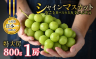 【2026年発送★先行予約】山梨県笛吹市産 シャインマスカット 1房 約800g 特大房 皮ごと食べられる人気のぶどう 262-001-26y