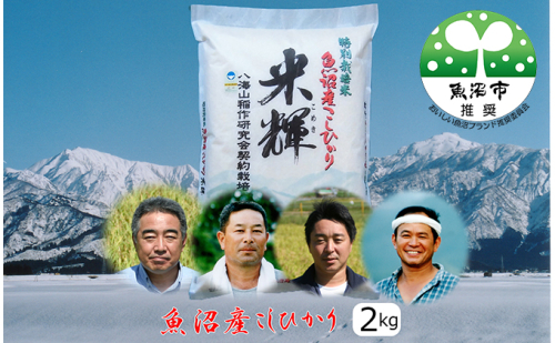 先行予約 令和8年産  【新潟県認証・特別栽培米】魚沼産こしひかり(精米)２kg お米 コシヒカリ  2704116 - 新潟県魚沼市
