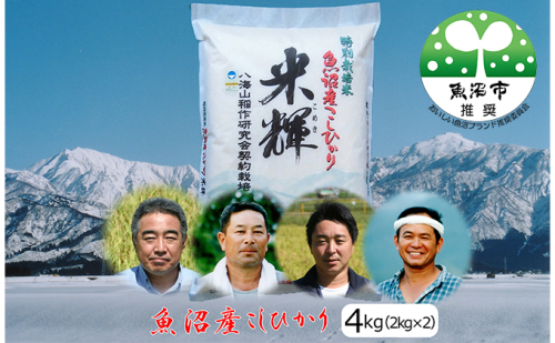 先行予約 令和8年産【新潟県認証・特別栽培米】魚沼産こしひかり(精米)４kg(2kg×2) お米 コシヒカリ  2704117 - 新潟県魚沼市