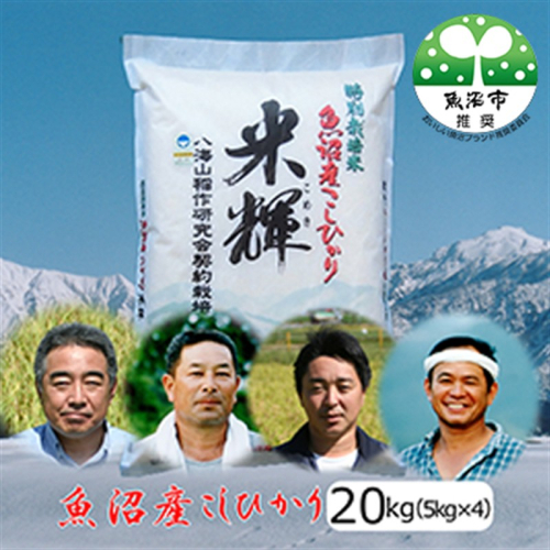 先行予約 令和8年産【新潟県認証・特別栽培米】魚沼産こしひかり(精米)２０kg(5kg×4) お米 コシヒカリ  2704120 - 新潟県魚沼市