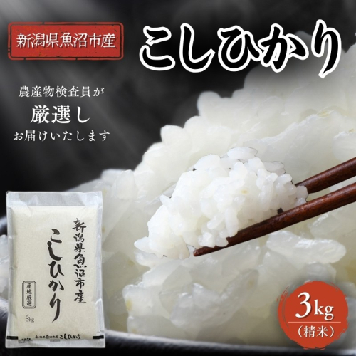 先行予約 令和8年産 農産物検査員お奨め 魚沼産こしひかり（精米）3kg お米 コシヒカリ  2704121 - 新潟県魚沼市