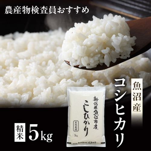 先行予約 令和8年産 農産物検査員お奨め 魚沼産こしひかり（精米）5kg お米 コシヒカリ 2704122 - 新潟県魚沼市