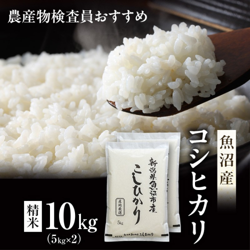 先行予約 令和8年産 農産物検査員お奨め 魚沼産こしひかり（精米）10kg（5kg×2） お米 コシヒカリ 2704123 - 新潟県魚沼市