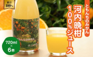 河内晩柑100%ジュース720ml×6【91-3】ふるさと納税 オレンジ みかん  晩柑 河内晩柑 ジュース 産地直送 愛媛県 八幡浜市 送料無料  YWTB004