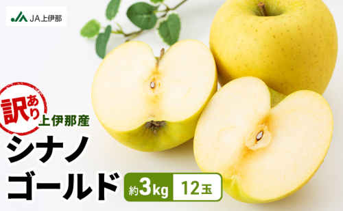 訳あり りんご 長野 リンゴ シナノゴールド 約3kg （12玉） 産地直送  フルーツ 果物 デザート おやつ 林檎 旬 信州 長野県 長野県産 駒ヶ根市 上伊那産 2704253 - 長野県駒ヶ根市