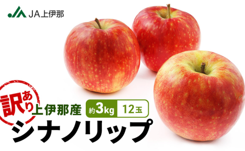 訳あり りんご 長野 リンゴ シナノリップ 約3kg （12玉） 産地直送  フルーツ 果物 デザート おやつ 林檎 旬 信州 長野県 長野県産 駒ヶ根市 上伊那産 2704254 - 長野県駒ヶ根市