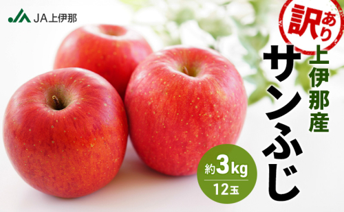 訳あり りんご 長野 リンゴ サンふじ 約3kg （12玉） 産地直送  フルーツ 果物 デザート おやつ 林檎 旬 信州 長野県 長野県産 駒ヶ根市 上伊那産 2704256 - 長野県駒ヶ根市