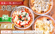 【全6回定期便】ピザ ナポリピッツァ マルゲリータ 5枚セット / 冷凍 ナポリピザ ピッツァ チーズ トマト バジル 詰め合わせ 定期便 / 愛媛県砥部町/Pizzeria39 [BJCI015]