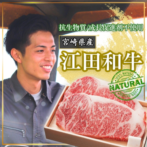 厳選 江田和牛 サーロインステーキ 600gセット(200g×3枚) 日本一のブランド牛「宮崎牛」 [希少 国産 黒毛和牛 冷凍 ギフト A5 牛肉 お肉 宮崎県 ワンストップオンライン対応] TF0695-P00051 2704365 - 宮崎県高原町