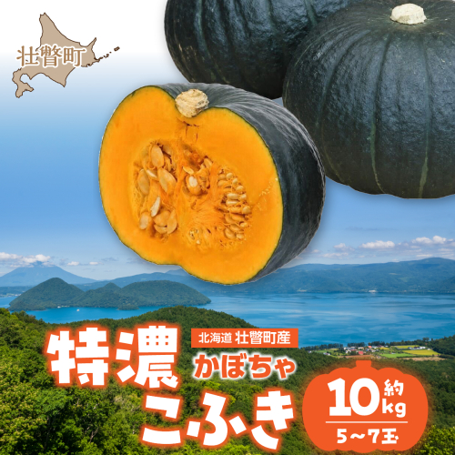 〈10月上旬よりお届け〉北海道壮瞥町産 かぼちゃ 特濃こふき5～7玉 約10kg SBTL019 2704367 - 北海道壮瞥町