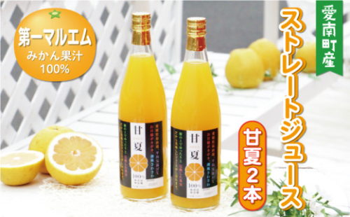 第一マルエムの甘夏ストレートジュース 720ml×2本 2704668 - 愛媛県愛南町