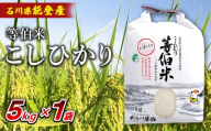 [令和7年産]等伯米コシヒカリ 5kg×1袋 | 世界農業遺産に認定された『能登の里山里海』で育まれたお米 石川県 七尾市 能登 ※2026年6月〜発送