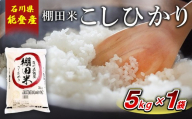 【令和8年産】棚田米コシヒカリ 5kg×1袋 ｜ 世界農業遺産に認定された『能登の里山里海』で育まれたお米 石川県 七尾市 能登 ※2026年10月～発送