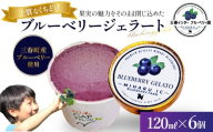 ブルーベリー ジェラート(三春町産)120ml×6個 [07521-0173]