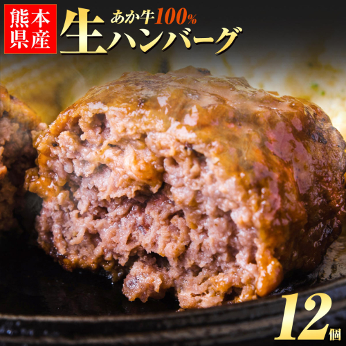 熊本県産あか牛100%生ハンバーグ 140g×12個 入り 《30日以内に出荷予定(土日祝除く)》 冷凍 ハンバーグ 2704958 - 熊本県南阿蘇村