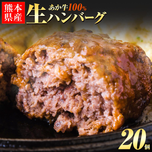 熊本県産あか牛100%生ハンバーグ 140g×20個 入り 《30日以内に出荷予定(土日祝除く)》 冷凍 ハンバーグ 2704959 - 熊本県南阿蘇村