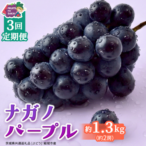 【定期便】3か月連続でお届け！ナガノパープル 約1.3kg （約2房）【2026年8月より発送開始】（茨城県共通返礼品 [ぶどう]：結城市産） ぶどう ブドウ 葡萄 ナガノパープル 種なし 皮ごと 高級 国産 黒ぶどう 旬 お取り寄せ フルーツ 希少品種 デザート [FC60-NT] 2704961 - 茨城県つくばみらい市