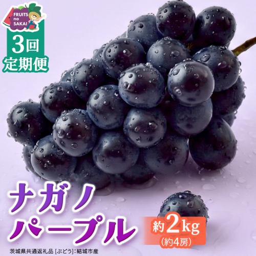 【定期便】3か月連続でお届け！ナガノパープル 約2kg （約4房）【2026年8月より発送開始】（茨城県共通返礼品 [ぶどう]：結城市産） ぶどう ブドウ 葡萄 ナガノパープル 種なし 皮ごと 高級 国産 黒ぶどう 旬 お取り寄せ フルーツ 希少品種 デザート [FC61-NT]
 2704962 - 茨城県つくばみらい市