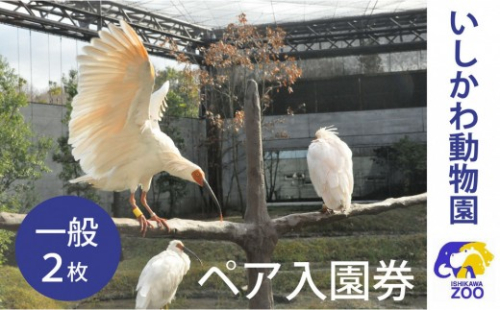 チケット いしかわ動物園ペア入園券（一般）石川県 能美市 2705115 - 石川県能美市
