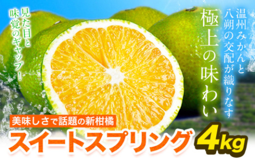スイートスプリング 4kg 熊本県産 送料無料 旬 の みかん 熊本産 取り寄せ (3L～Sサイズ/3L-S混合) 《12月下旬～1月下旬出荷》熊本県 津奈木町 柑橘 希少品種 スイートスプリング 柑橘 果物 スイスプ 旬 の みかん 柑橘 温州みかん 2705172 - 熊本県津奈木町