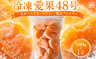 愛媛 冷凍愛果48号 1袋 (500g) | 愛果 冷凍みかん 愛媛みかん あいか 愛果48号  みかん 柑橘 アイス シャーベット mikan 蜜柑 れいとうみかん デザート スイーツ 果物 フルーツ かんきつ 冷凍 加工品 あいす おやつ グルメ 送料無料 お取り寄せ 国産 愛媛県 松山市 みかん職人武田屋