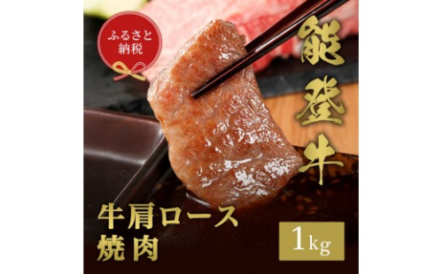 【和牛セレブ】能登牛 牛肩ロース 焼肉 1kg お肉ギフト専門店 石川県 能美市 2705675 - 石川県能美市